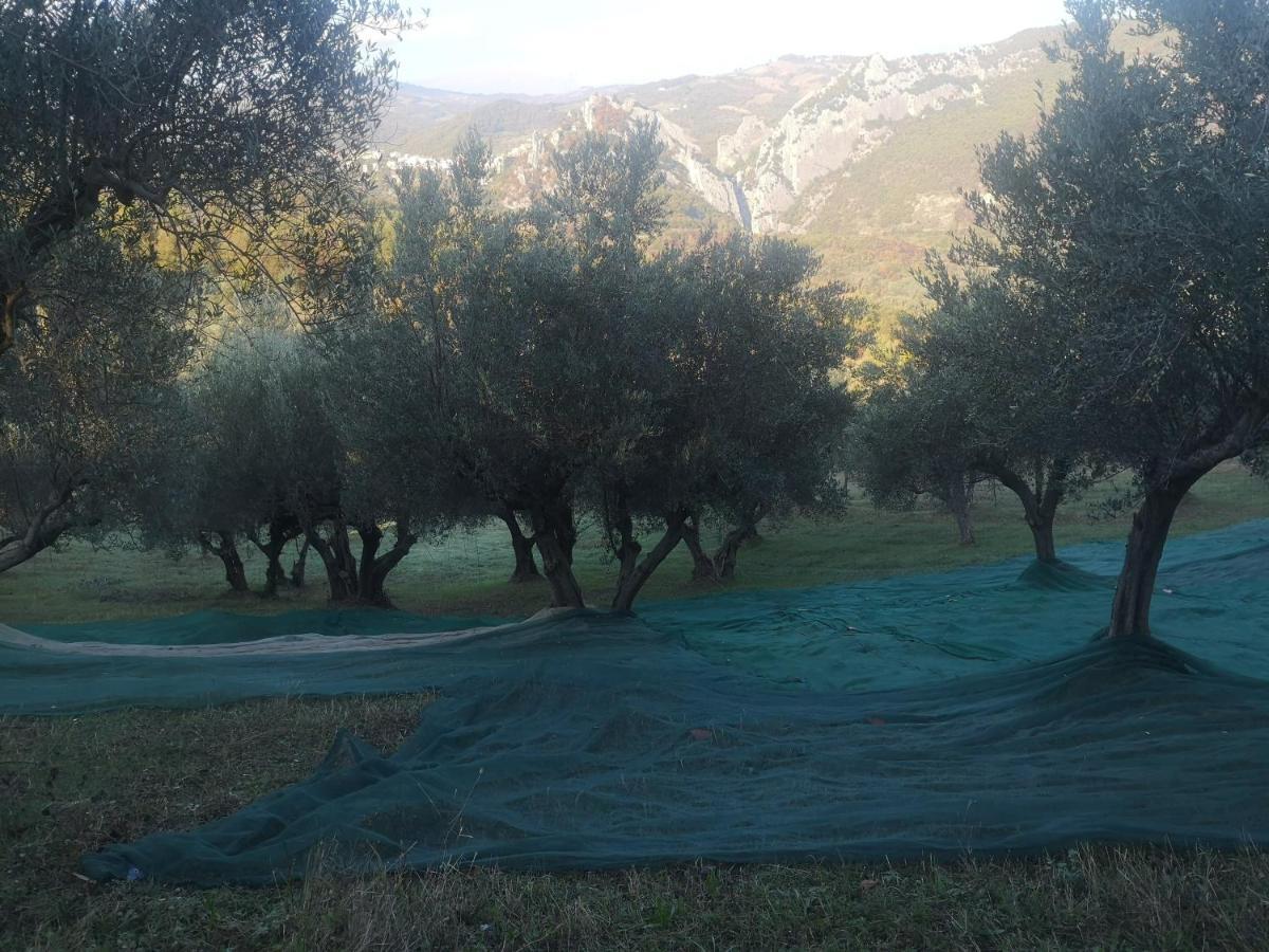 Villa Santa Maria  Agriturismo Olimpo מראה חיצוני תמונה