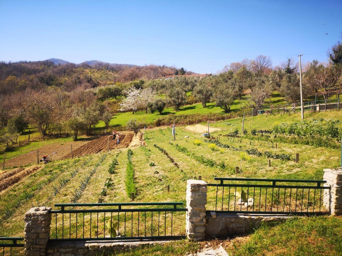 Villa Santa Maria  Agriturismo Olimpo מראה חיצוני תמונה